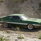Illustration for article titled Fenix's 1972 Gran Torino